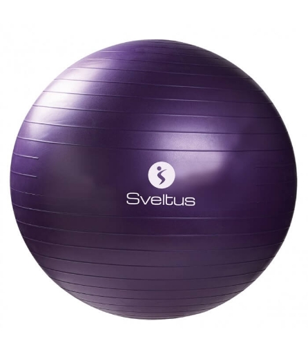 Imagem de Bola de fitness - Ø75 Sveltus