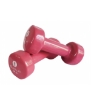 Imagem de Conjunto de Halteres Dumbbell Epoxy 2 x 2kg