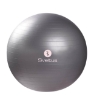 Imagem de Bola de fitness - Ø65 Sveltus CINZA