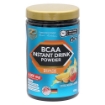 Imagem de BCAA 2:1:1 PÓ INSTANTÂNEO - 500G EXÓTICO