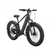 Imagem de Bicicleta Elétrica MorphRover