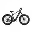 Imagem de Bicicleta Elétrica MorphRover