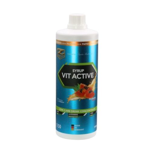 Imagem de XAROPE VITACTIVE + L-CARNITINA - 1000ML PAPAIA