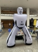 Imagem de Boneco insuflável Sumo 200 cm